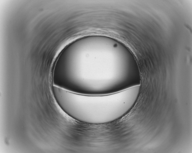 X0000094451531200711081036
