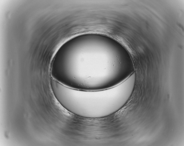 X0000094451532200711081036