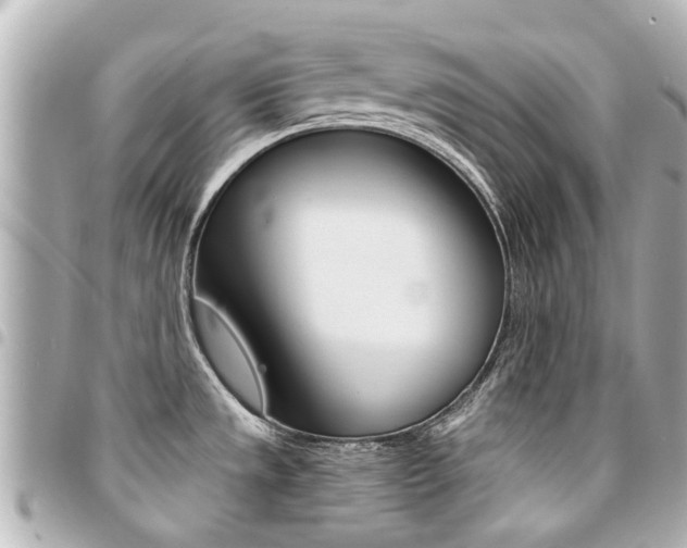 X0000094451533200711081036