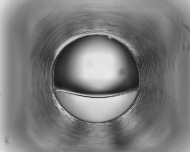 X0000094451534200711081036
