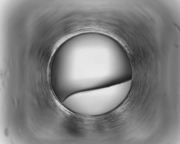 X0000094451535200711081036