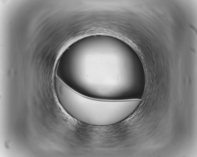 X0000094451536200711081036