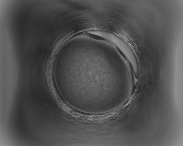 X0000094450001200711081314