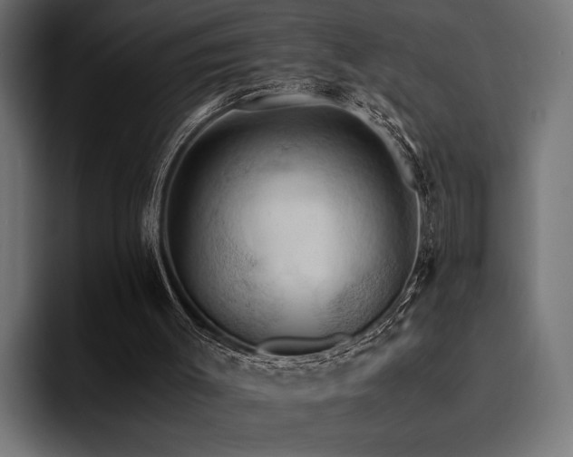 X0000094450003200711081314