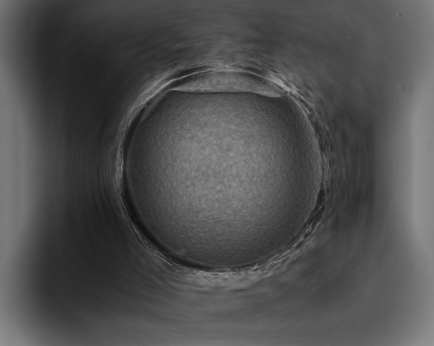 X0000094450005200711081314