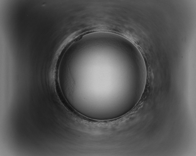 X0000094450007200711081314