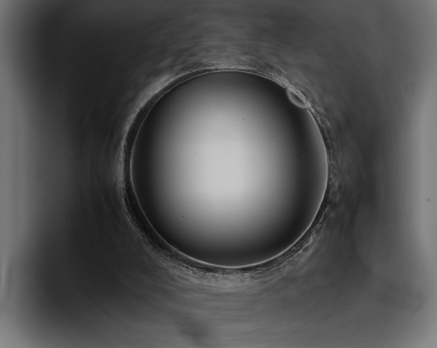 X0000094450008200711081314