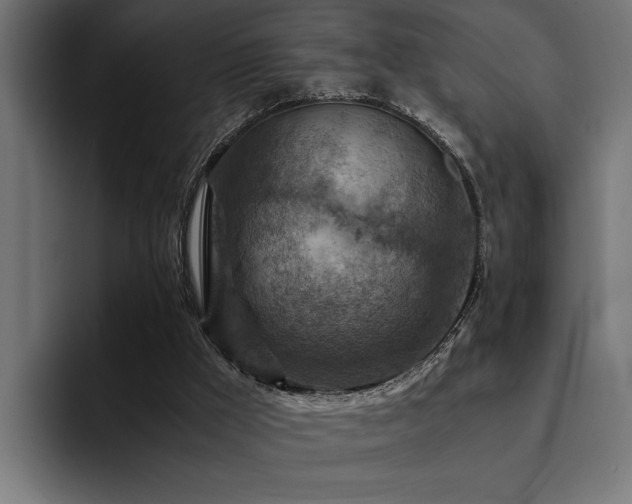 X0000094450009200711081314