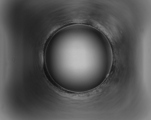 X0000094450011200711081314