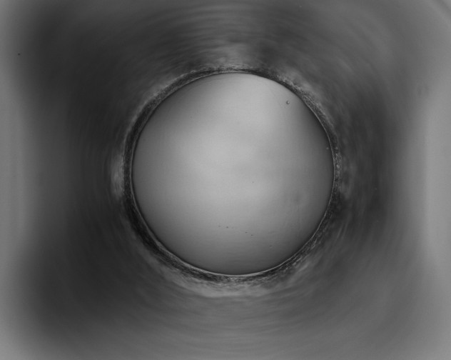 X0000094450012200711081314