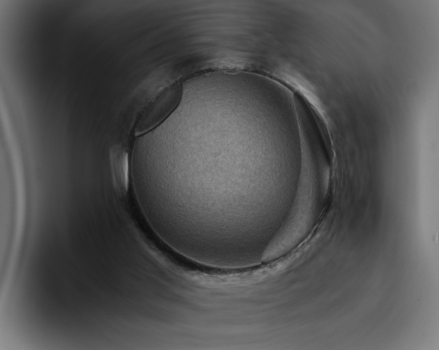 X0000094450013200711081314