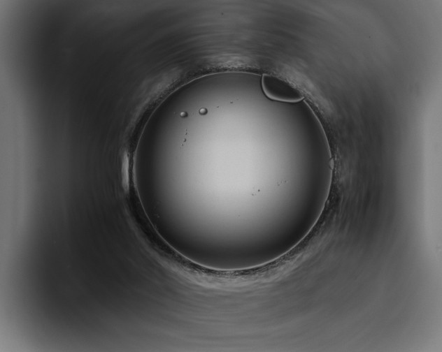 X0000094450014200711081314