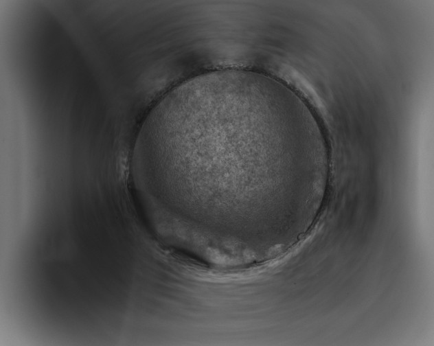 X0000094450017200711081314