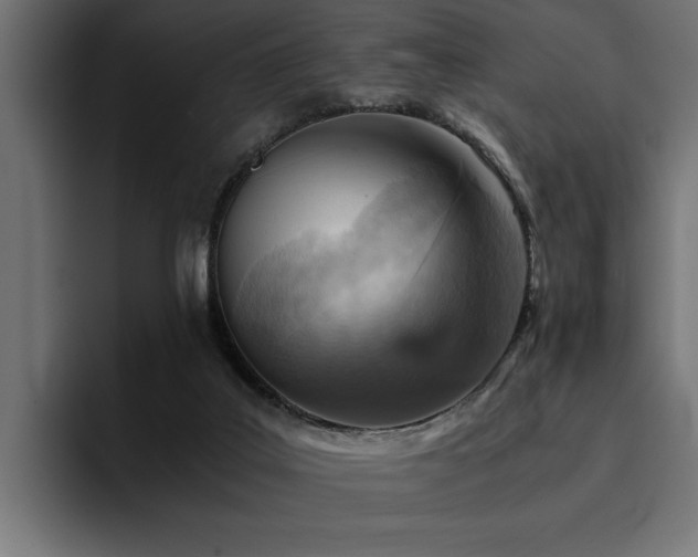 X0000094450019200711081314
