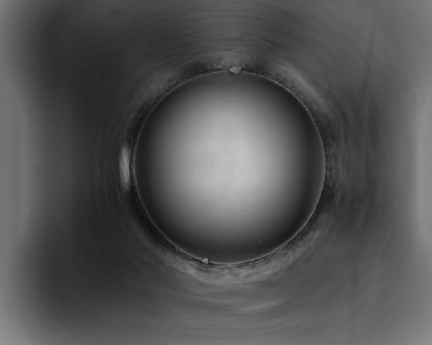 X0000094450022200711081314