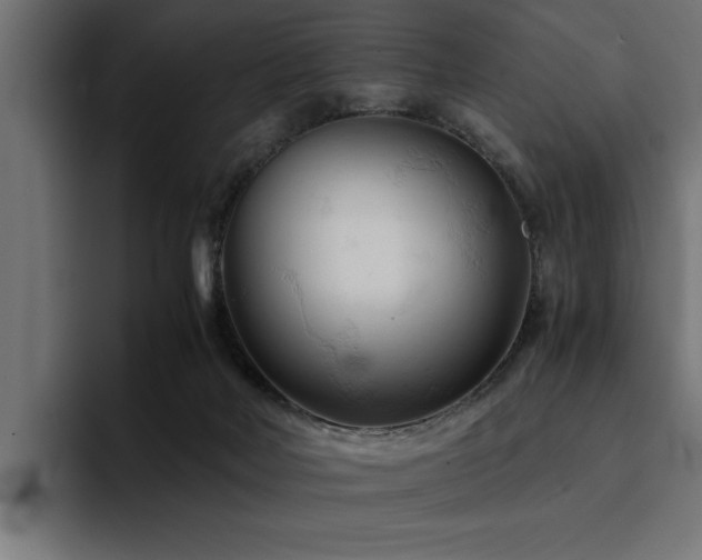 X0000094450026200711081314