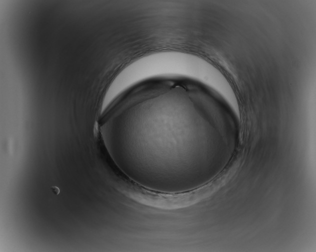 X0000094450027200711081314