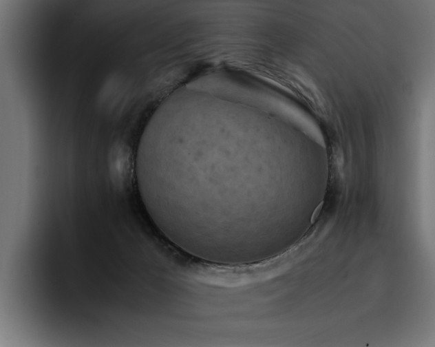 X0000094450029200711081314