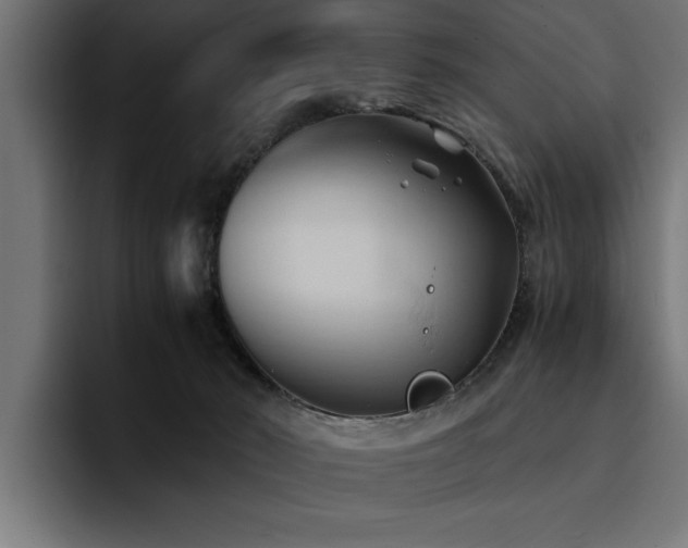 X0000094450030200711081314