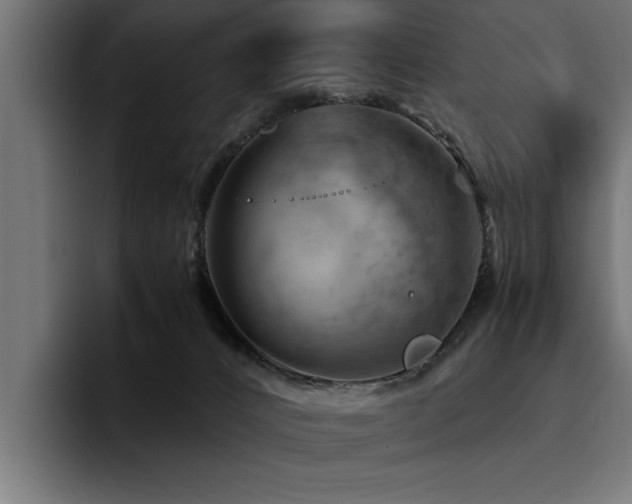 X0000094450032200711081314