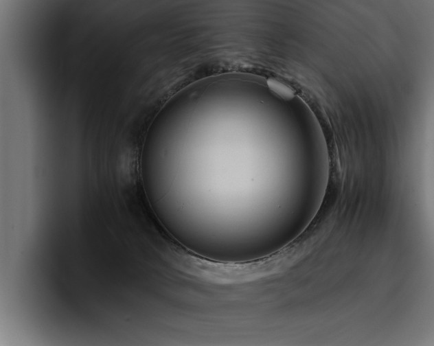 X0000094450034200711081314