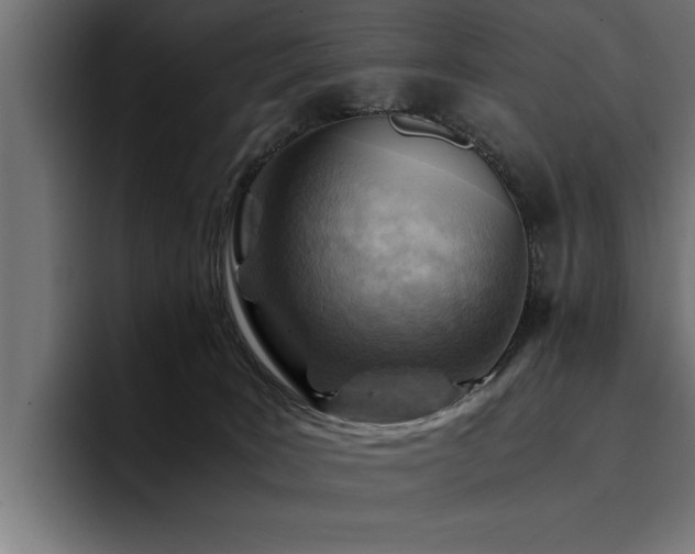 X0000094450035200711081314