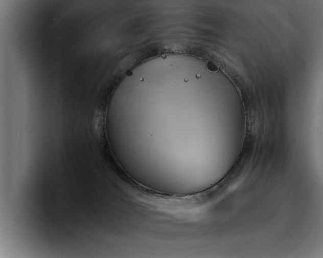 X0000094450036200711081314
