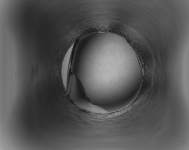X0000094450037200711081314
