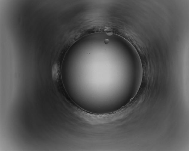 X0000094450038200711081314