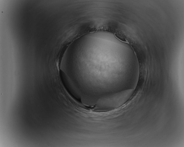 X0000094450039200711081314