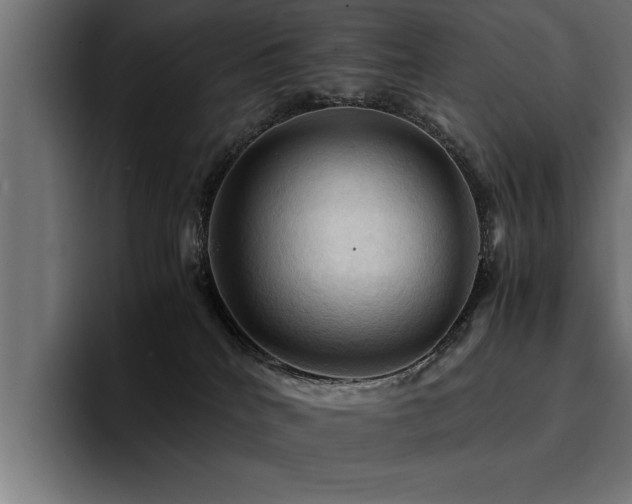 X0000094450040200711081314
