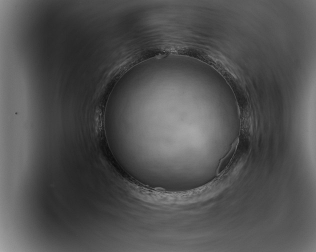 X0000094450043200711081314