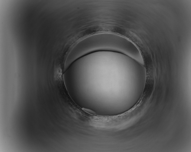 X0000094450045200711081314