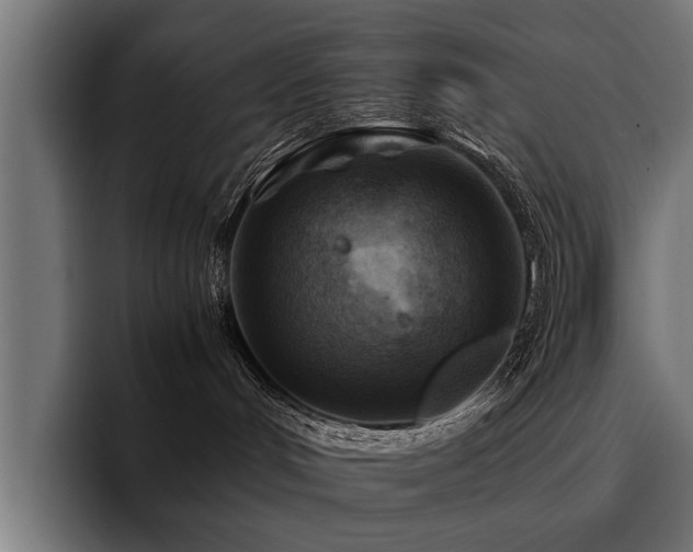 X0000094450048200711081314