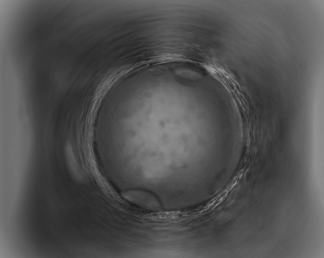 X0000094450049200711081313