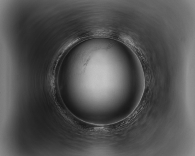 X0000094450050200711081313
