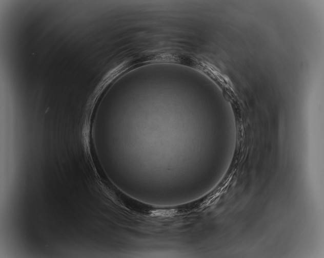 X0000094450051200711081313