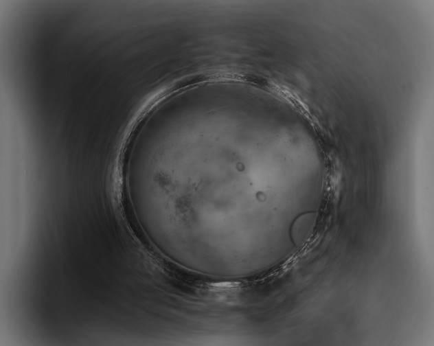 X0000094450053200711081313