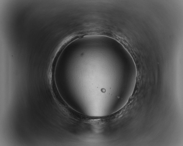 X0000094450054200711081313