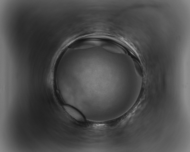 X0000094450055200711081313