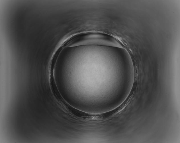 X0000094450056200711081313