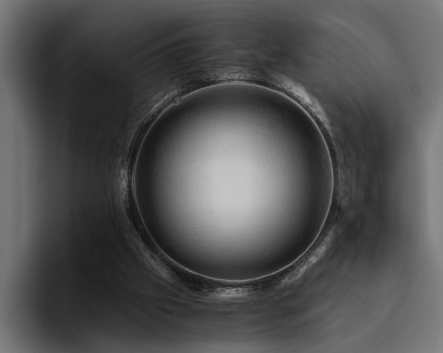 X0000094450057200711081313