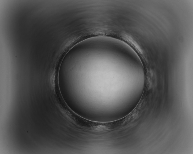 X0000094450058200711081313