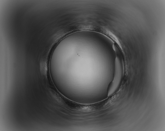 X0000094450059200711081313