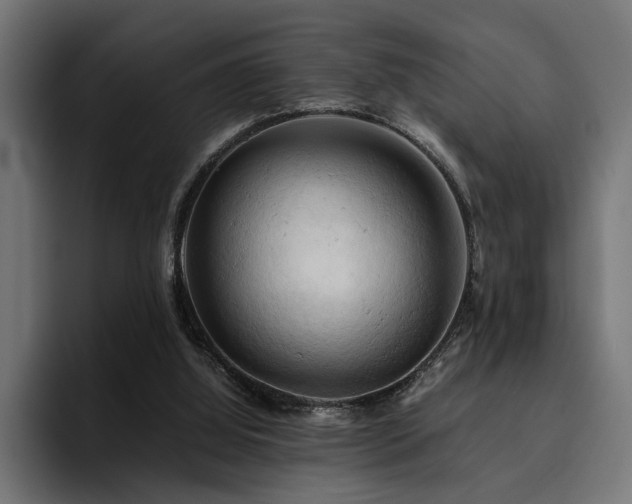X0000094450060200711081313