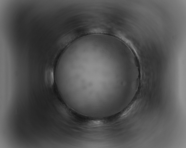 X0000094450061200711081313