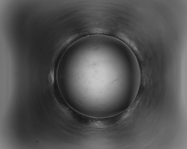 X0000094450062200711081313