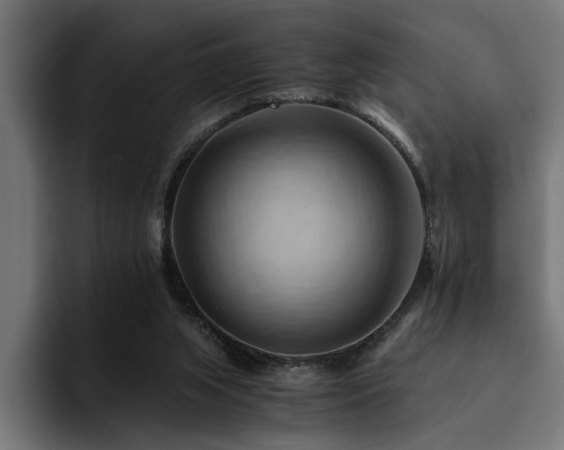 X0000094450063200711081313