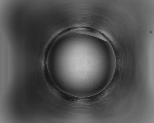X0000094450064200711081313