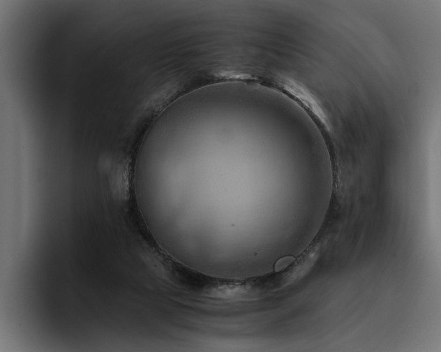X0000094450065200711081313